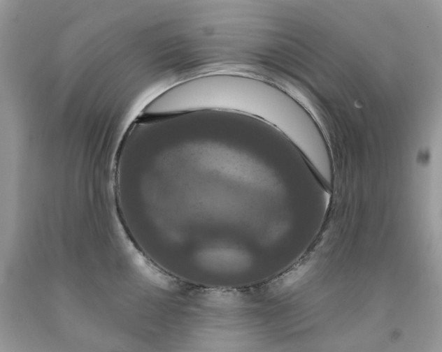 X0000091461050200709061753