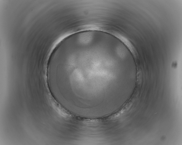 X0000091461051200709061753