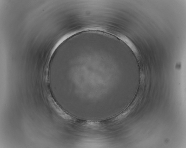 X0000091461052200709061753