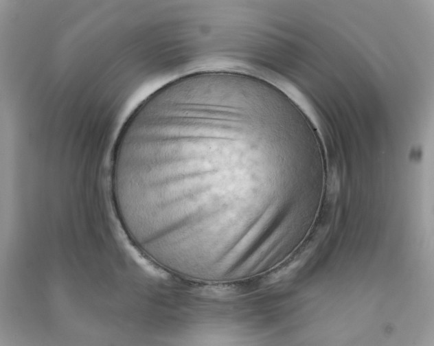 X0000091461053200709061753