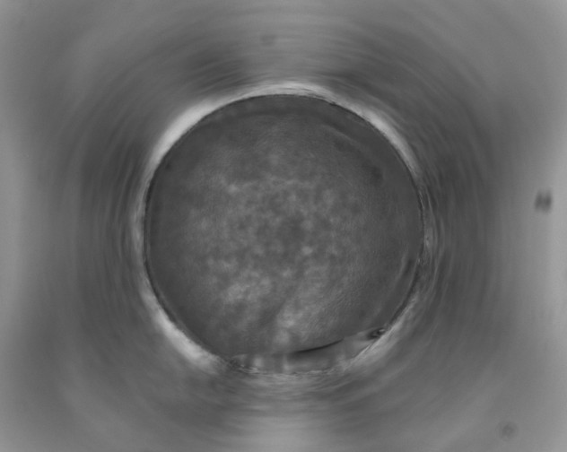 X0000091461054200709061753