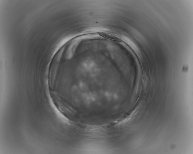 X0000091461055200709061753