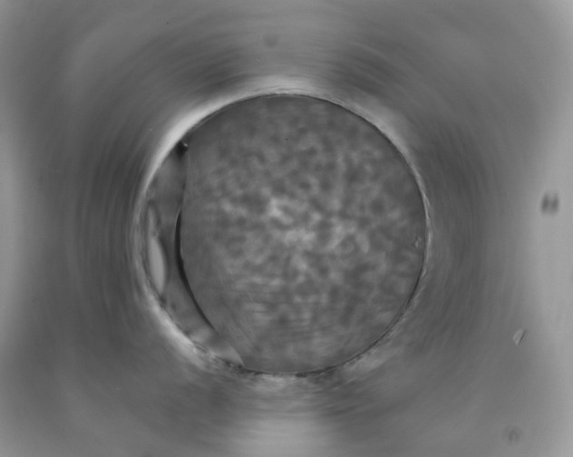 X0000091461056200709061753