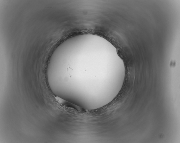 X0000091461057200709061752