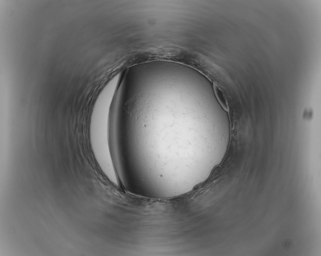 X0000091461058200709061752