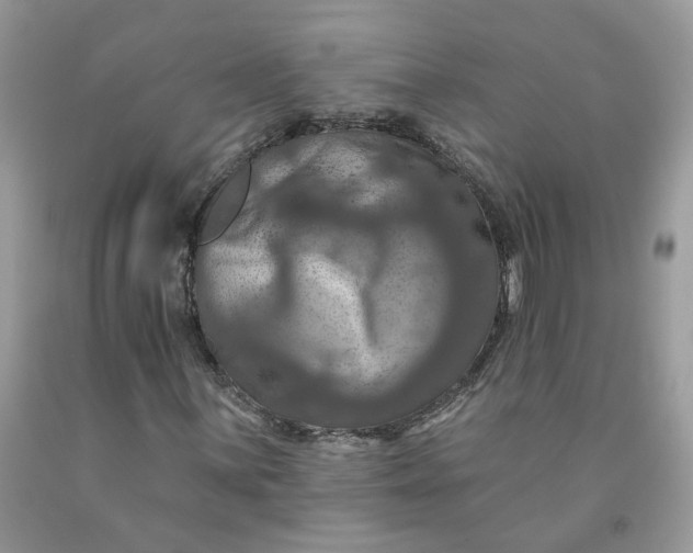 X0000091461059200709061752