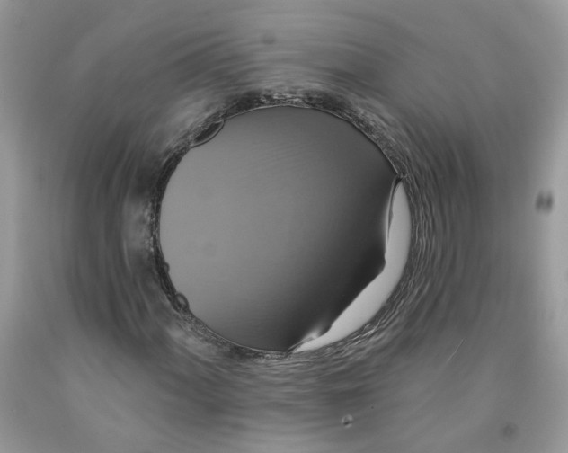 X0000091461060200709061752