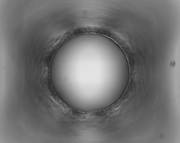 X0000091461061200709061752