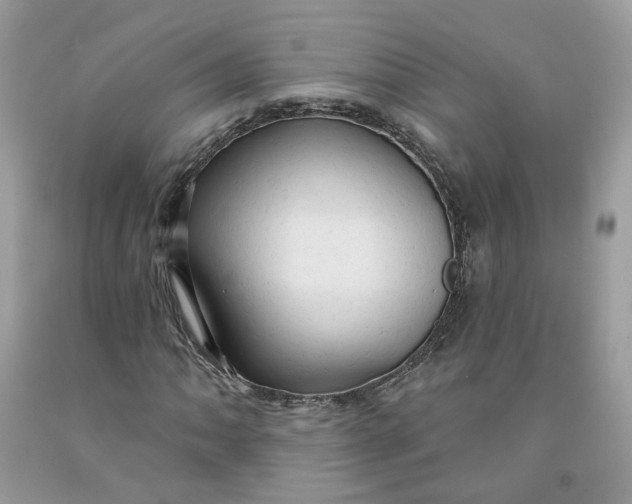 X0000091461062200709061752