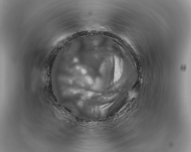 X0000091461063200709061752