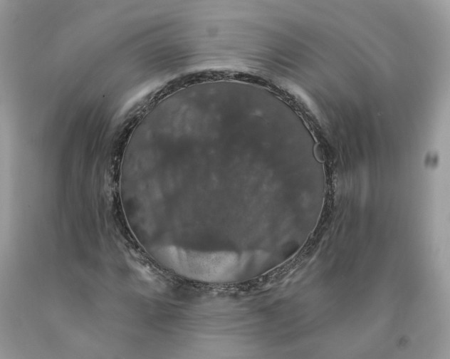 X0000091461064200709061752