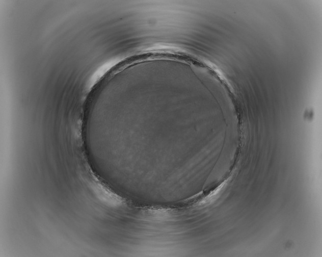 X0000091461066200709061752