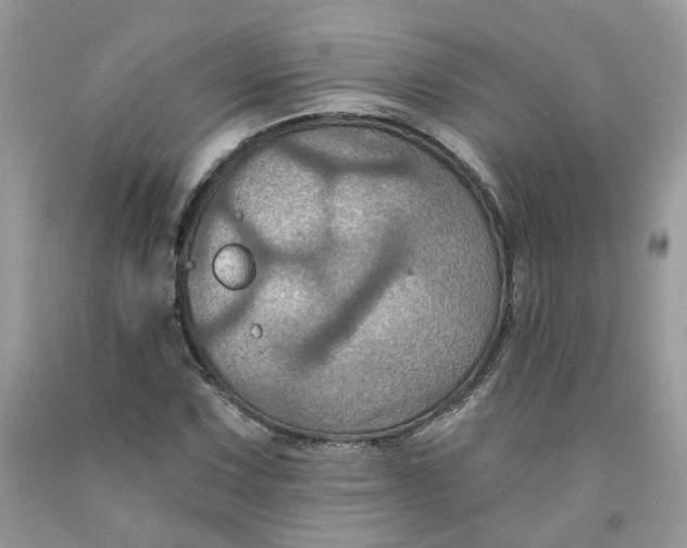 X0000091461067200709061752