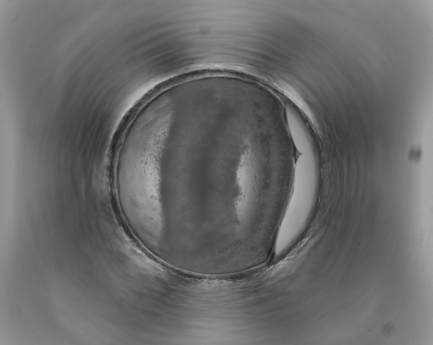 X0000091461068200709061752