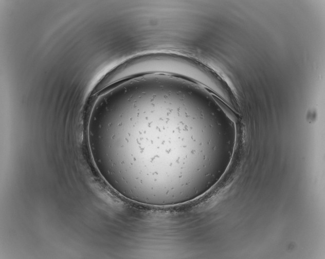 X0000091461069200709061752