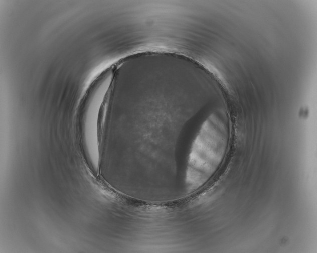 X0000091461070200709061752