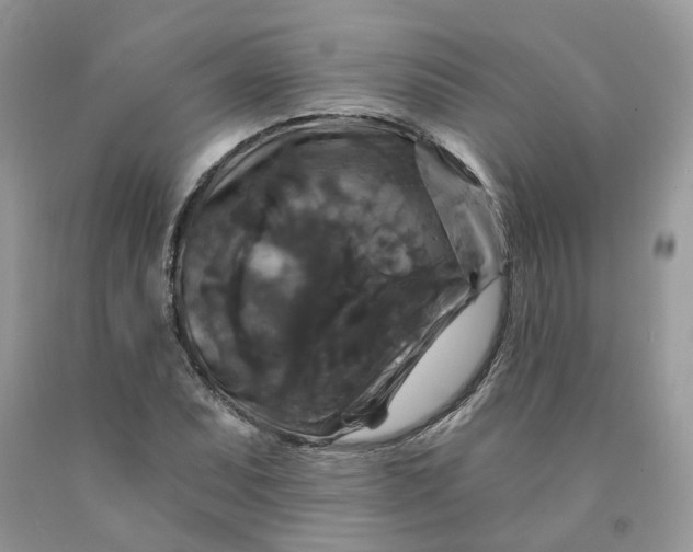 X0000091461071200709061752