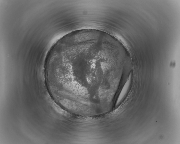 X0000091461072200709061751