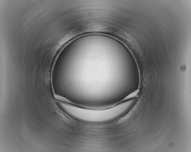 X0000091461073200709061751