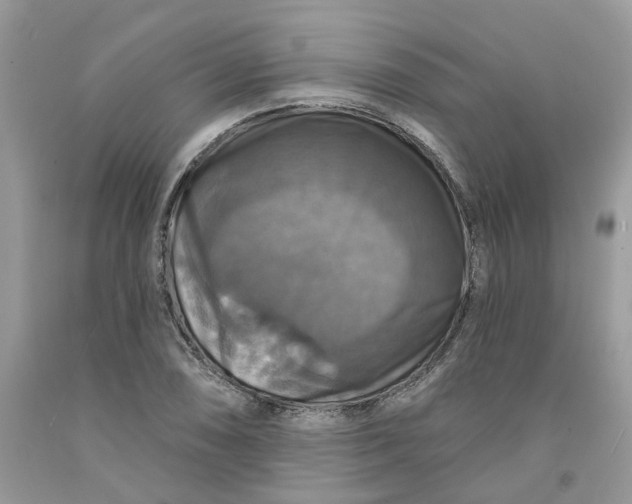 X0000091461074200709061751