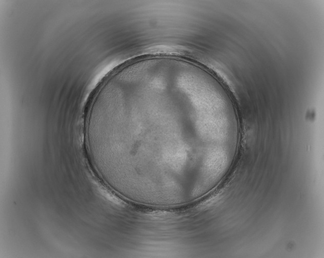 X0000091461075200709061751