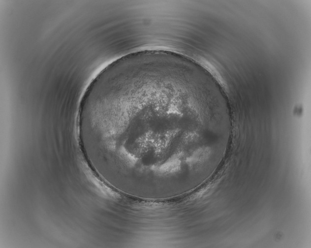 X0000091461076200709061751