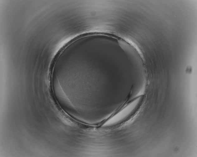 X0000091461077200709061751