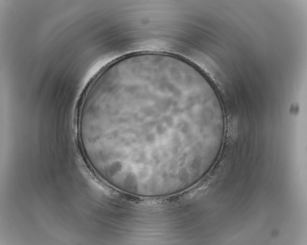 X0000091461078200709061751