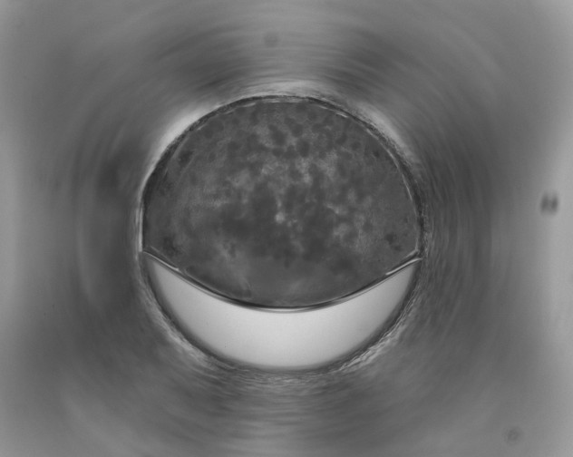 X0000091461079200709061751