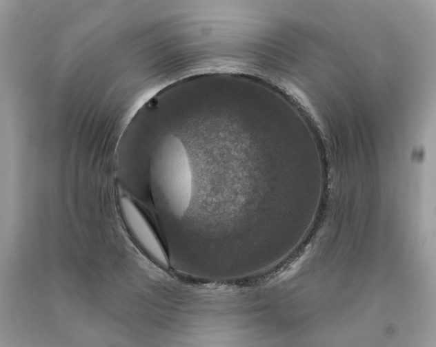 X0000091461081200709061751