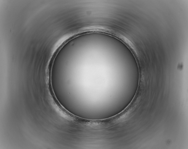 X0000091461082200709061751