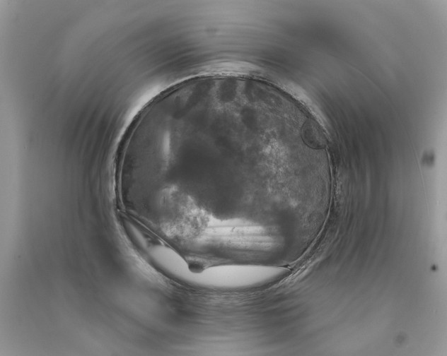 X0000091461083200709061751