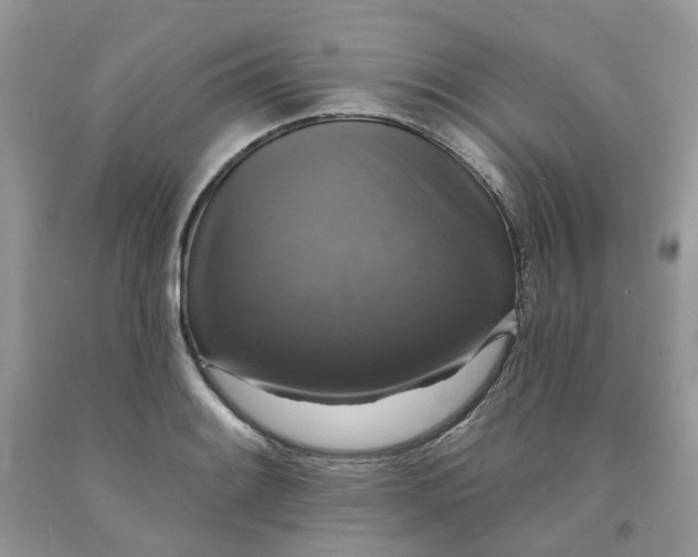 X0000091461084200709061751