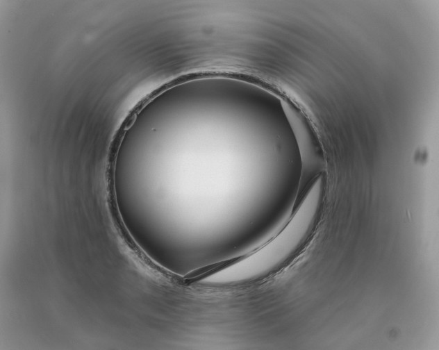 X0000091461085200709061751