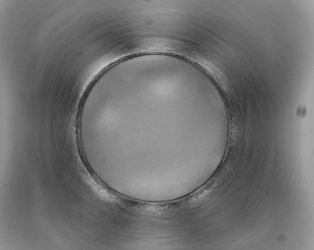 X0000091461086200709061751