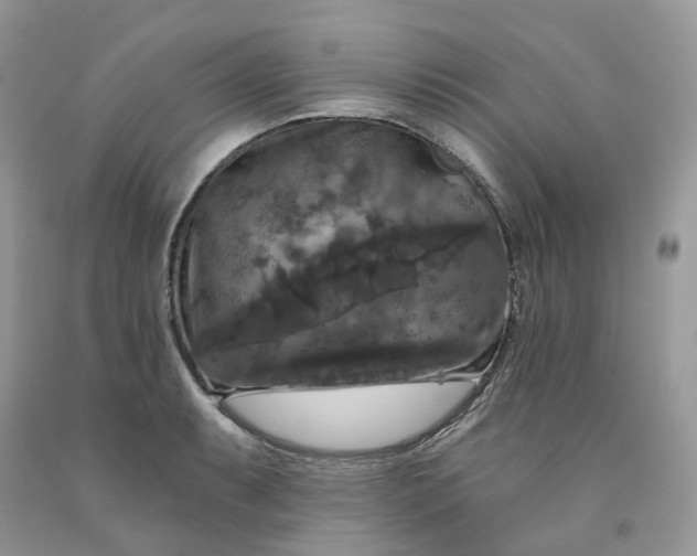 X0000091461087200709061751