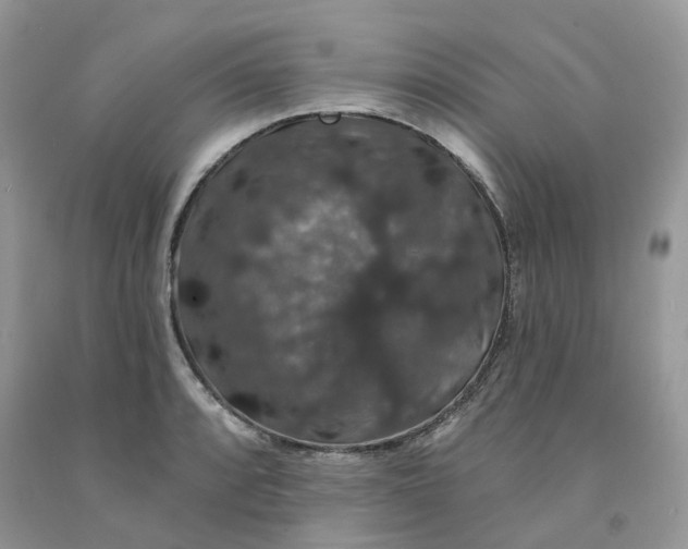 X0000091461088200709061751