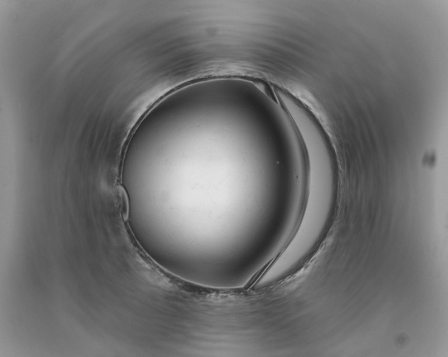 X0000091461089200709061751