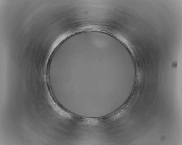 X0000091461090200709061751