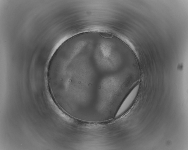 X0000091461091200709061751