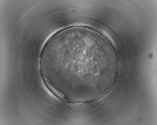 X0000091461092200709061751