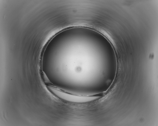 X0000091461093200709061751