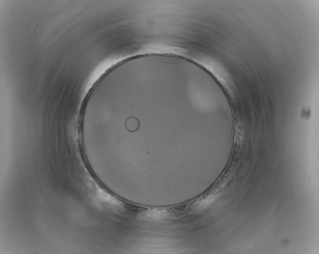 X0000091461094200709061751