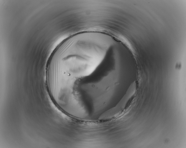 X0000091461095200709061751