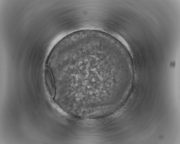 X0000091461096200709061751