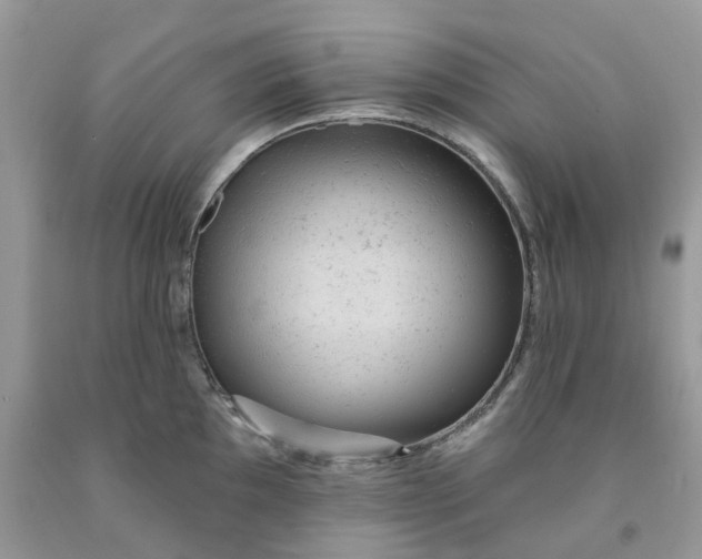 X0000091461097200709061751