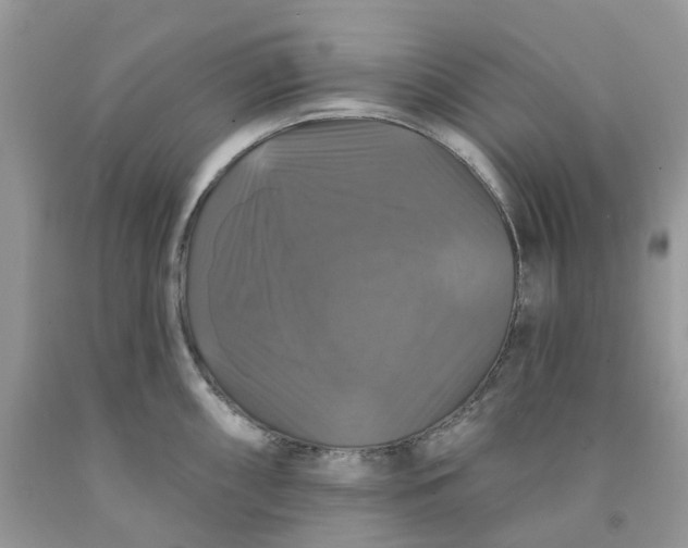 X0000091461098200709061751