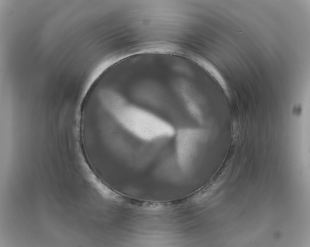 X0000091461099200709061751