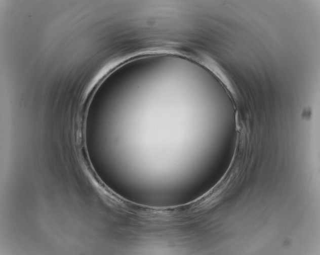 X0000091461101200709061751