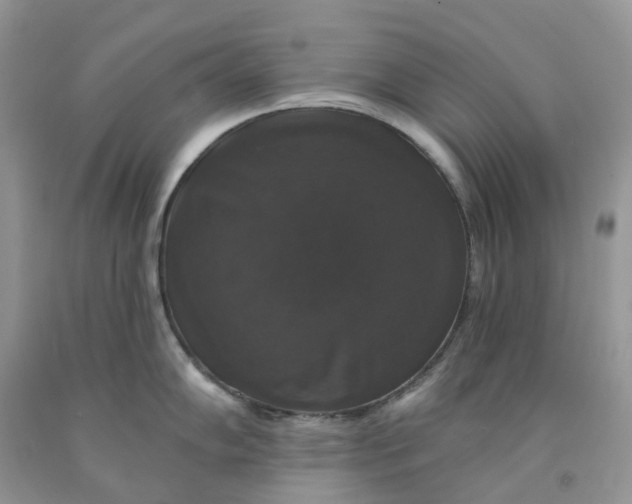 X0000091461102200709061751